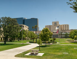 photo of university campus and hospital in background