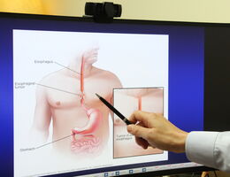 a model of a human body is shown on a screen and a pen is used to point to the esophagus.