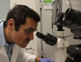 a doctor is looking into a microscope 
