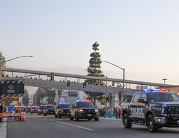 line of police vehicles drive single file down road