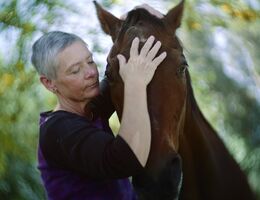 Clinical trials help establish effective treatments for all forms of breast cancer Tanis Earle
