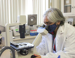 Loma Linda University Health researcher inspects chromosomes under a microscope.