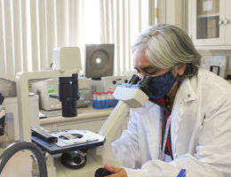 Loma Linda University Health researcher inspects chromosomes under a microscope. Loma Linda University Health researcher inspects chromosomes under a microscope.