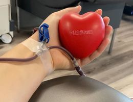 forearm of Caucasian woman holding red heart that says "LifeStream" while giving blood