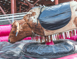 Mechanical bull with soft pink bumber and black padding