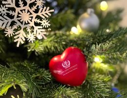 Heart with LLU International Heart Institute logo in a Christmas tree