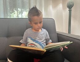 Young boy sits on sofa and reads book