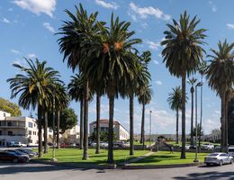 Spanish style building exterior, surrounded by palm trees and a parking lot