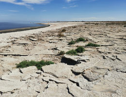 Study: Salton Sea receding at greater rate