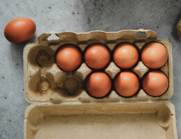 Study: Egg consumption is associated with a lower risk of Alzheimer’s Disease
