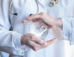 Doctor protecting embryo with hands on blurred background.