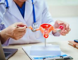 a doctor points to a 3d model of uterus 