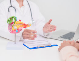 a doctor hands are open with a 3d model of a stomach on the table
