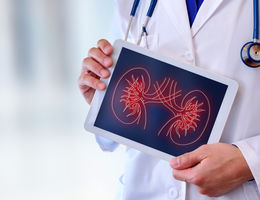 Findings could expand kidney donor options for recipients