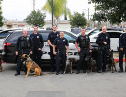 police department officers pose for picture with their k9s in-front of squad car