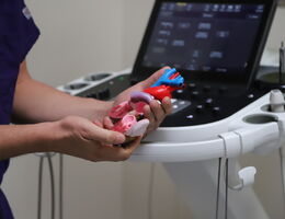 Dr. Serrano holds model of heart in his hands