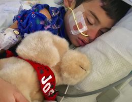 male pediatric patient sleeps in hospital bed with stuffed animal toy