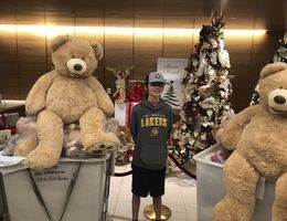 teenage boy standing with carts of teddy bears in hospital lobby