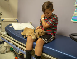 One puppy falls asleep on patient Caiden Josa, 10, from Beaumont, California.