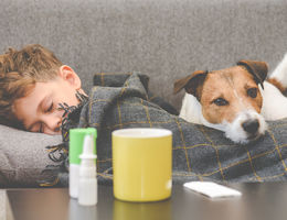 Dog guarding sick boy sleeping on sofa under plaid stock photo