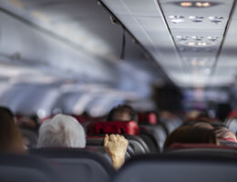 Plane