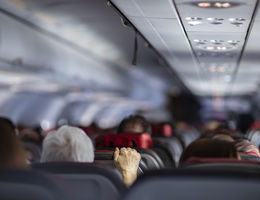 Travel Plane