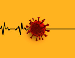 Heart beats stop at viral particle