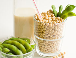 Loma Linda University study will find out if a fermented soybean product reduces the risk of heart disease.