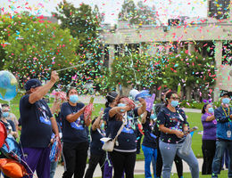 LLUCH Magnet Recognition