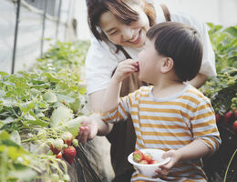 mother feeding son a strawberry