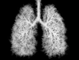 smokey lung photo