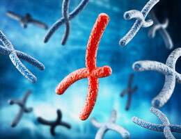 Telomeres