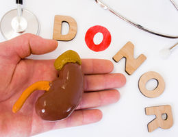 kidney in hand with donor words