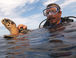 man in snorkel gear on the ocean's surface with a sea turtle