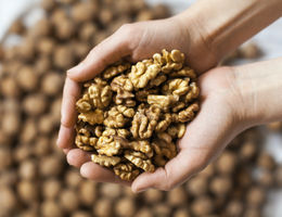 Consuming walnuts can lower cholesterol, reduce risk for heart disease