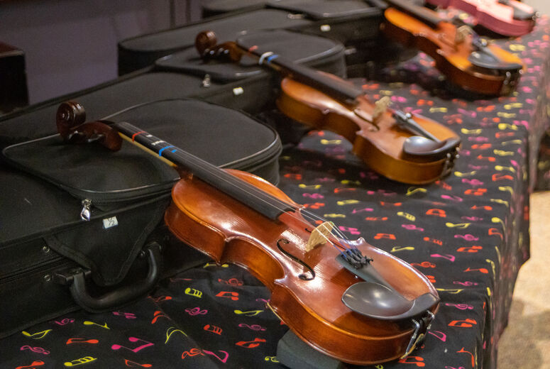 Array of violins