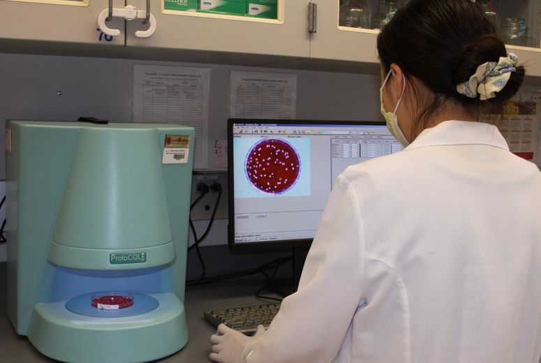 LLU researcher analyzes agar plates using an automatic colony counter