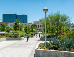 Loma Linda University Health campus 