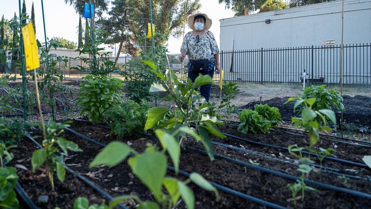 Organic community garden established in San Bernardino nourishes body