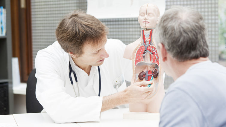 How To Reduce Risk Of Bladder Cancer Lluh News
