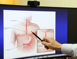 a model of a human body is shown on a screen and a pen is used to point to the esophagus.