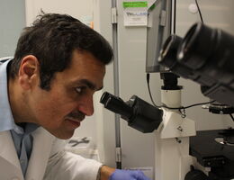 a doctor is looking into a microscope 