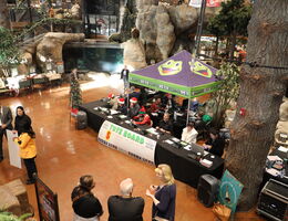 Wide shot of the K-Froggers 4 Kids Event