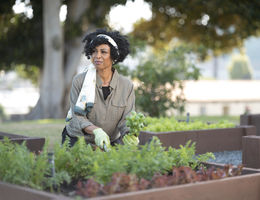Woman gardens
