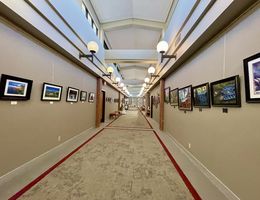 Fine Arts Festival art and photography display