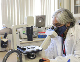 Loma Linda University Health researcher inspects chromosomes under a microscope