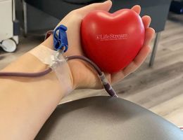 forearm of Caucasian woman holding red heart that says "LifeStream" while giving blood