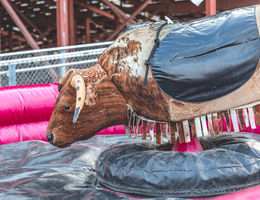 Mechanical bull with soft pink bumber and black padding