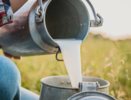 Young woman pouring raw milk into container - stock photo