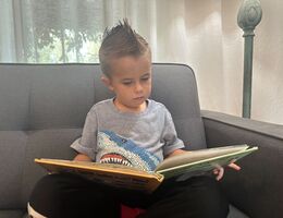 Young boy sits on sofa and reads book